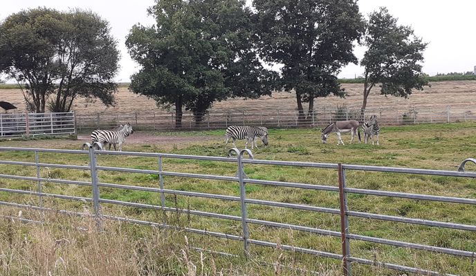 Foto 1 de la ruta de Bikemap "Emmen nach lingen"