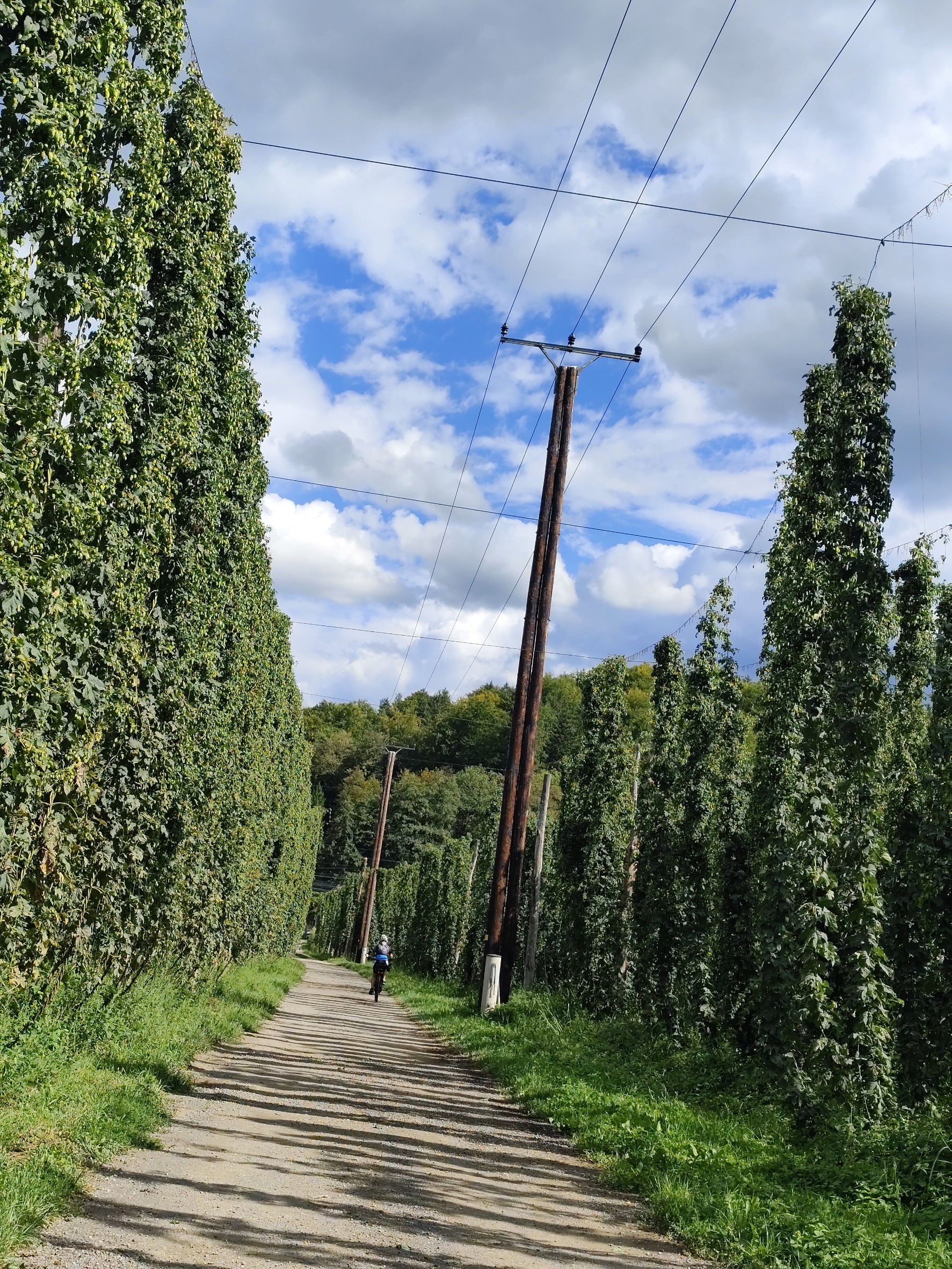 Leutschach Runde