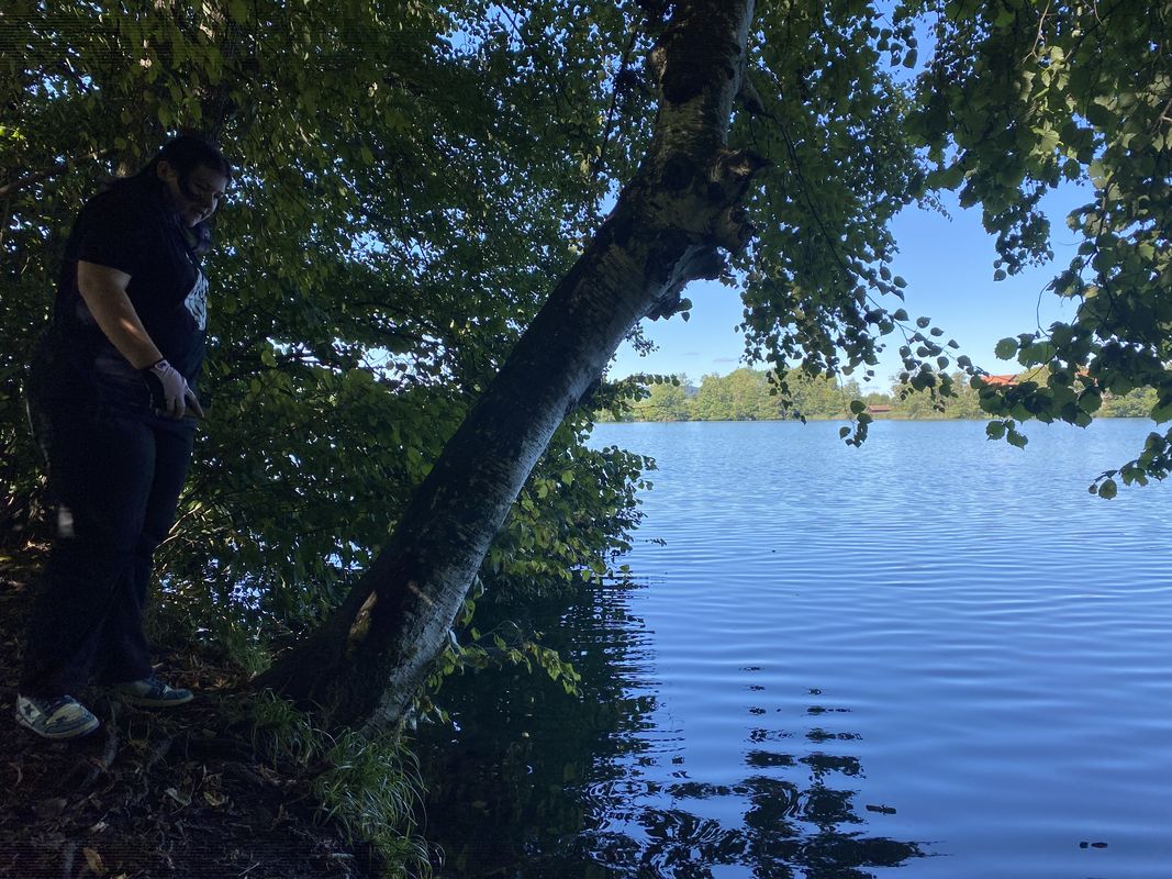 Schutz, Grosswangen nach Schutz, Grosswangen