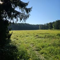 Von Wolgast nach Rieth