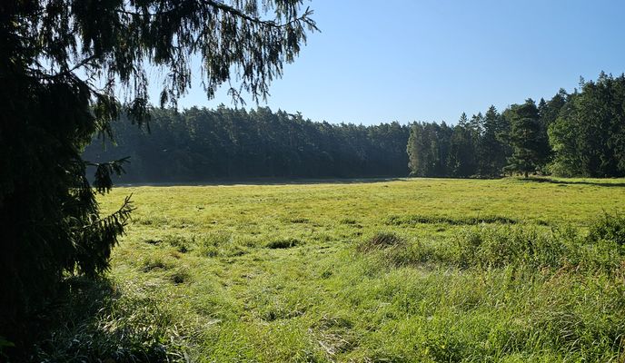 Photo 1 de l’itinéraire Bikemap « Von Wolgast nach Rieth »