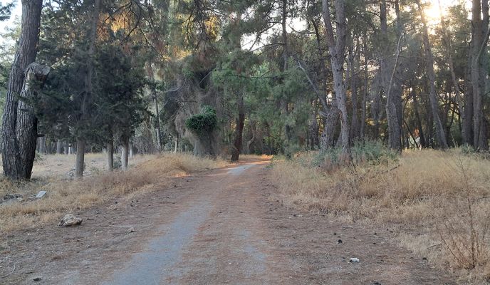 Foto 2 der Bikemap-Route "Kepezaltı" Foto 2 der Bikemap-Route "Kepezaltı"