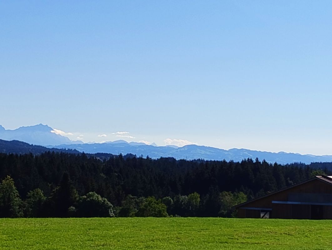 Gravel 44km Käse holen und noch ne Tour