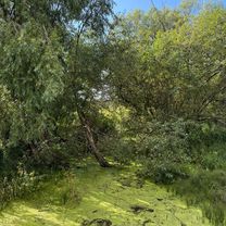 Велопробег по области