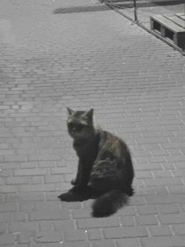 Вернигоры улица, Черкассы до Вернигоры улица, Черкассы