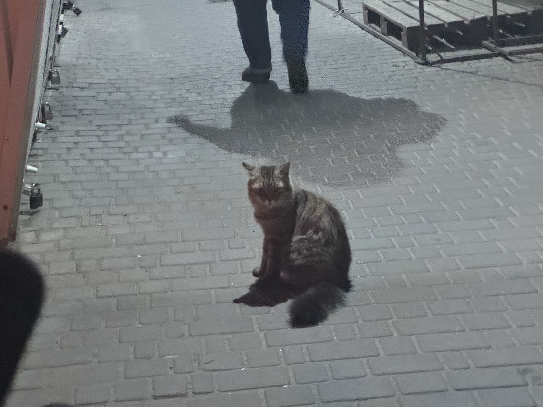 Вернигоры улица, Черкассы до Вернигоры улица, Черкассы