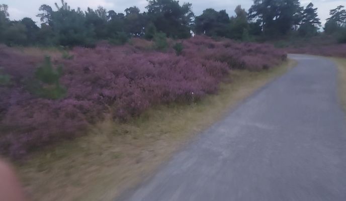 Foto 1 der Bikemap-Route "78 Appelscha"