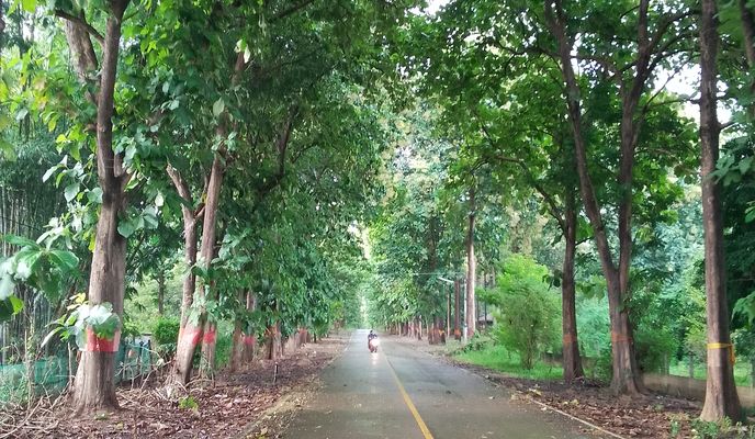 Photo 1 of the Bikemap route "สันอุ้ม ห้วยเกี๋ยง" Photo 1 of the Bikemap route "สันอุ้ม ห้วยเกี๋ยง"