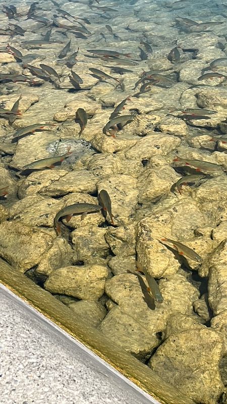 Theodor-Prosen-Gasse, Klagenfurt am Wörthersee nach Wörthersee-Südufer-Straße, Klagenfurt am Wörthersee