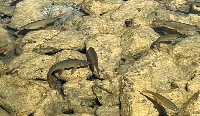 Foto 2 der Bikemap-Route "Theodor-Prosen-Gasse, Klagenfurt am Wörthersee nach Wörthersee-Südufer-Straße, Klagenfurt am Wörthersee"