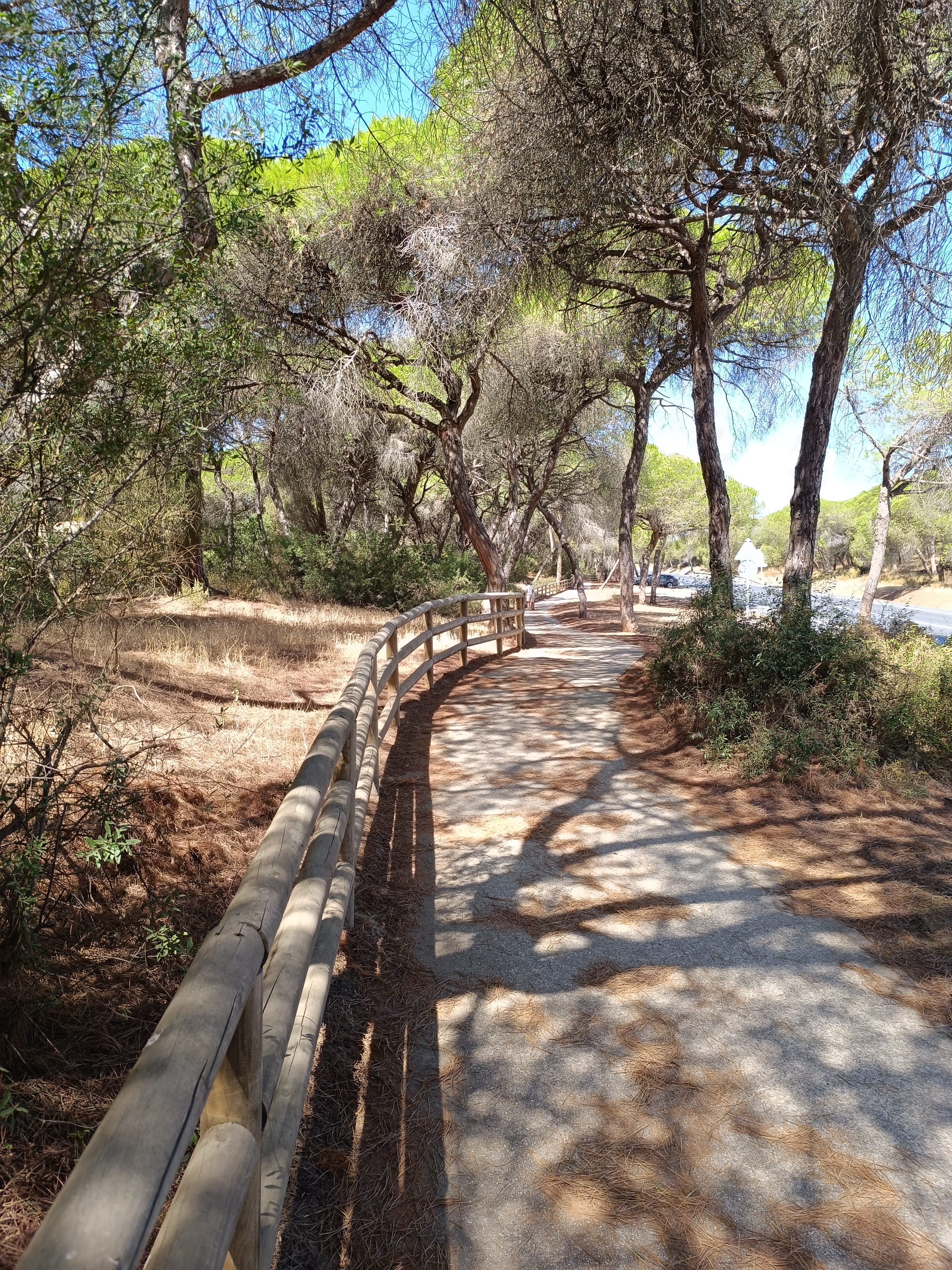 Cartaya - Punta Umbría - Cartaya