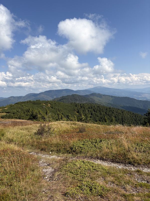 Štúrova, Polomka až Štúrova, Polomka