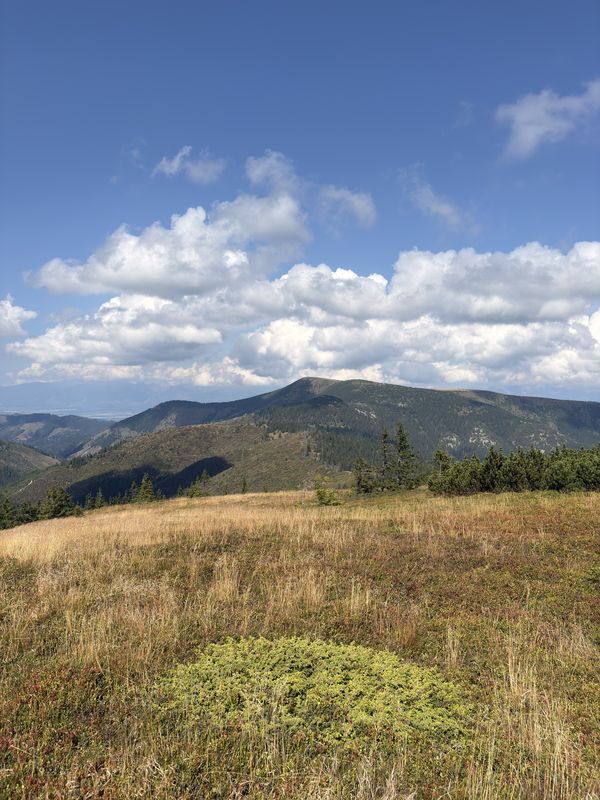 Štúrova, Polomka až Štúrova, Polomka