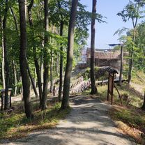 Sosnová do Sosnová