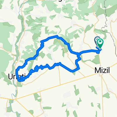 Drumul Vinului Dealu Mare