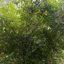 Foto 8 der Bikemap-Route "От улица Геннадия Донковцева до улица Геннадия Донковцева корпус"