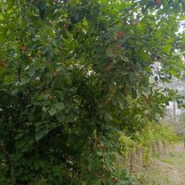 Foto 7 der Bikemap-Route "От улица Геннадия Донковцева до улица Геннадия Донковцева корпус"