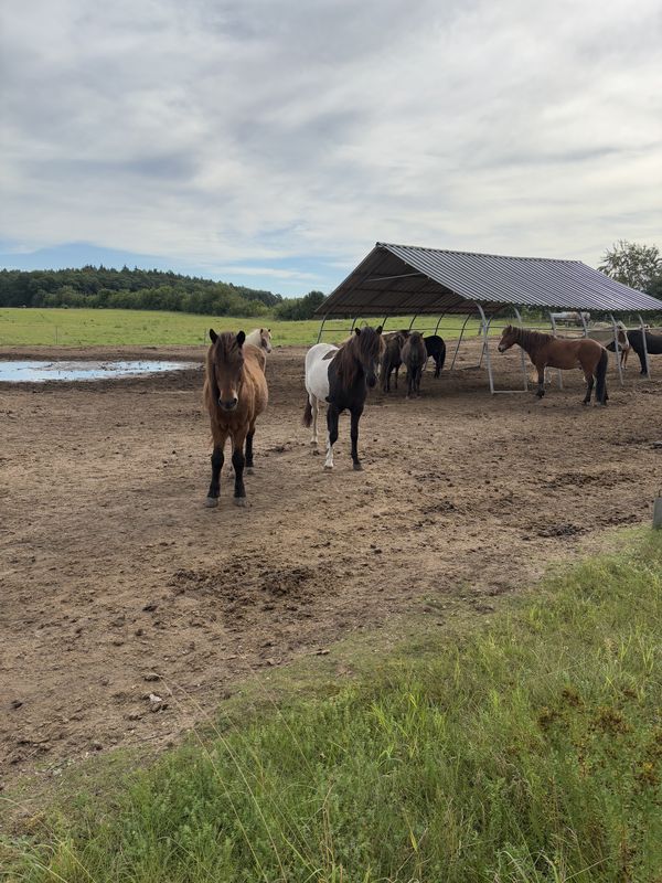 53.553, 10.917 nach 54.001, 10.780