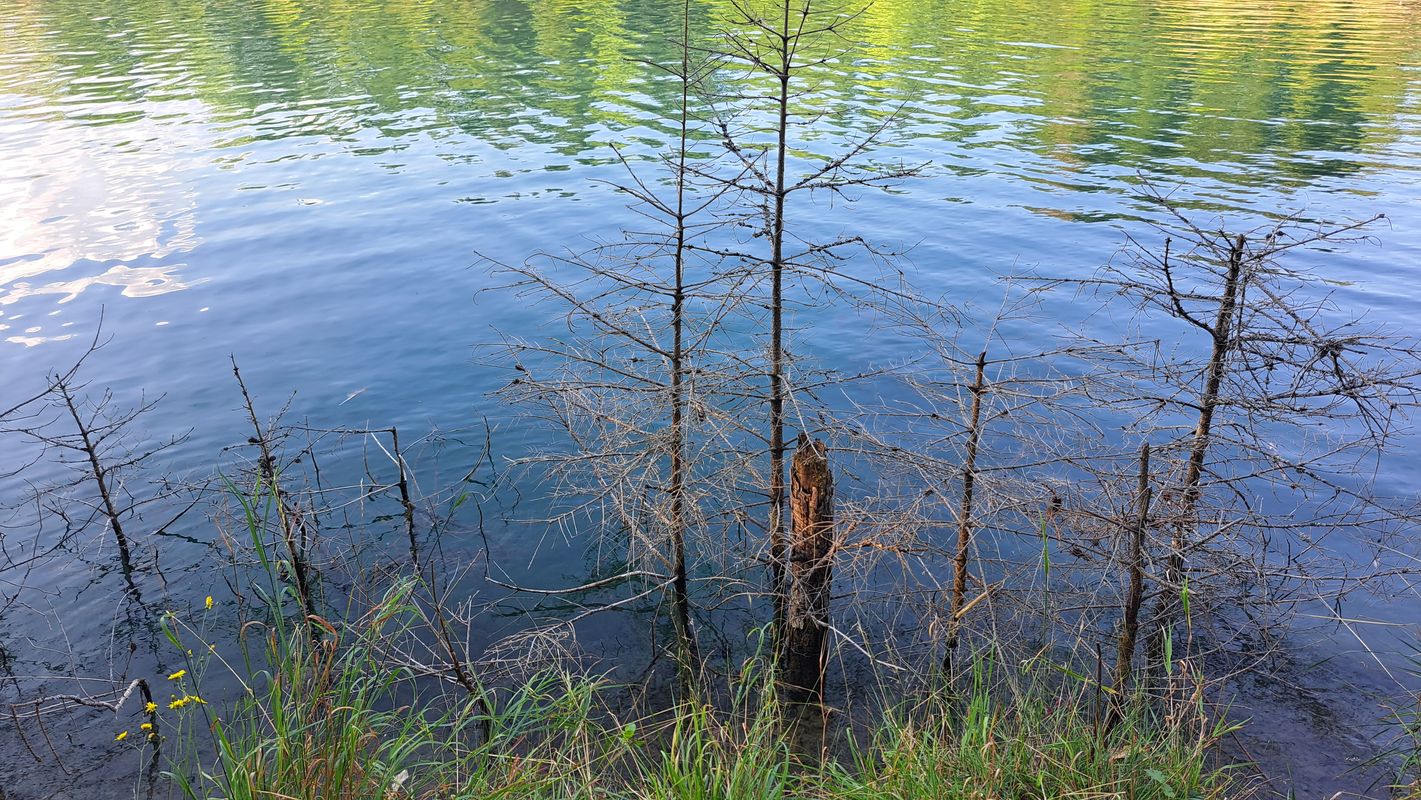 Bajkalská do Ústecko-Orlická