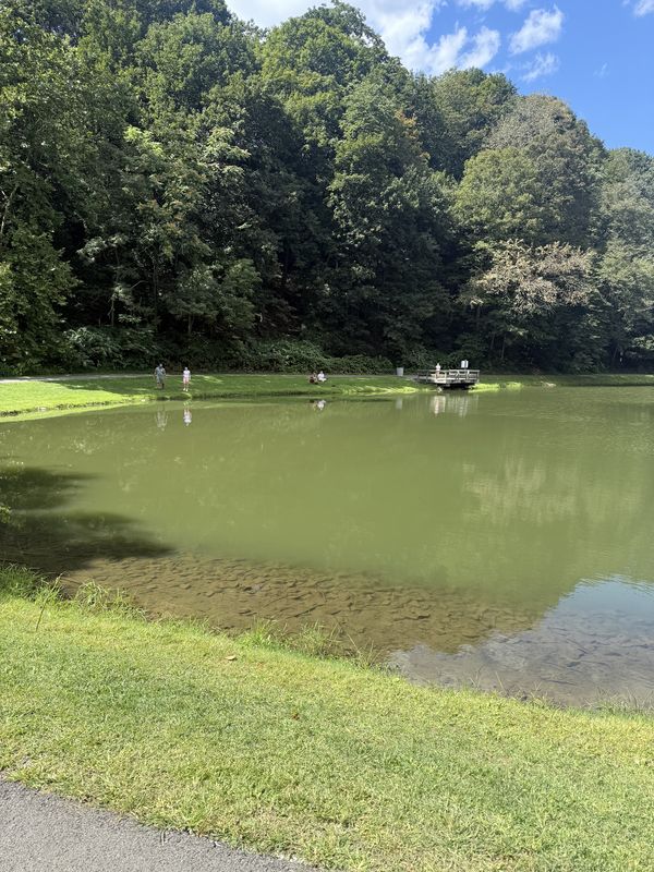 Westmoreland Heritage Trail, Murrysville to Westmoreland Heritage Trail, Murrysville