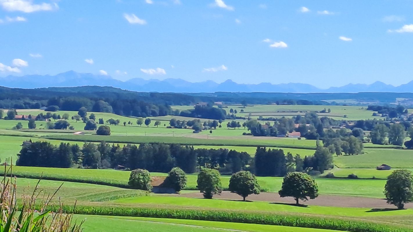 R 36 Krumbach - Daxberg - Krumbach (optimiert)