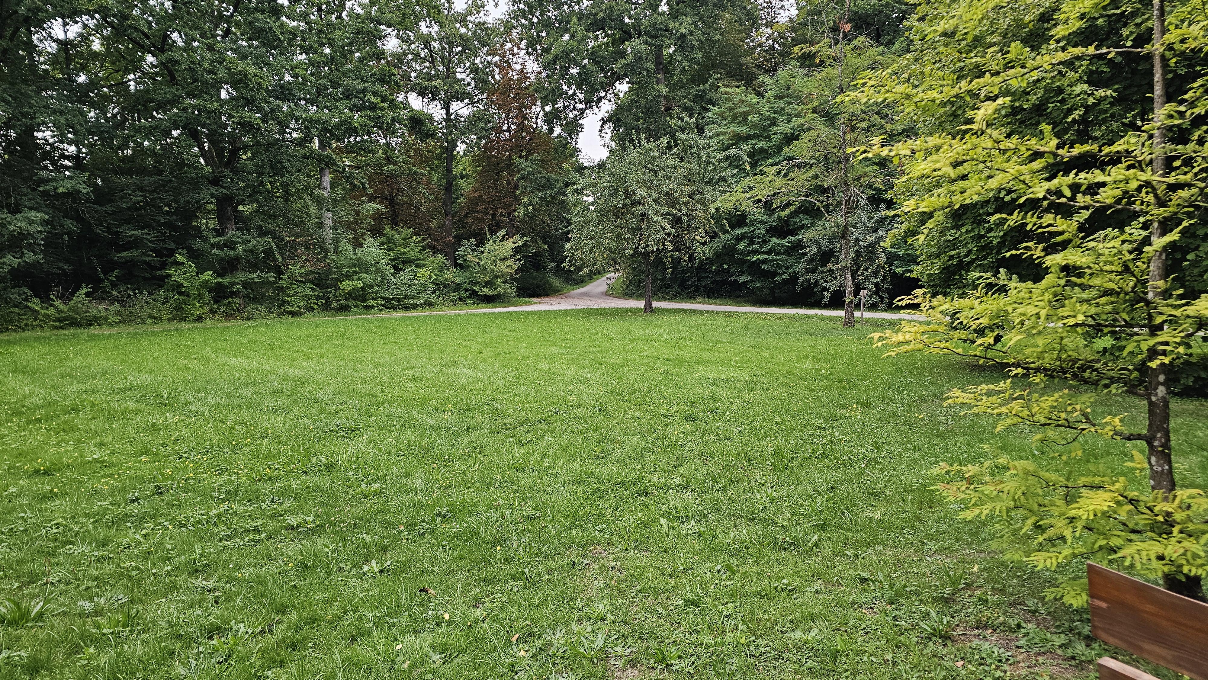 Gaildorfer Straße nach Veilchenweg