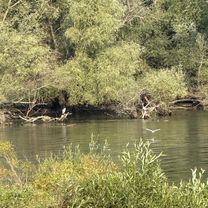 Zdjęcie 7 trasy Bikemap „Michalovce, Михаловце до Michalovce, Михаловце”