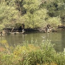 Michalovce, Михаловце до Michalovce, Михаловце