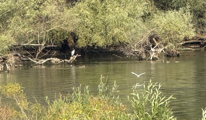 Zdjęcie 1 trasy Bikemap „Michalovce, Михаловце до Michalovce, Михаловце”