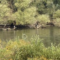 Zdjęcie 8 trasy Bikemap „Michalovce, Михаловце до Michalovce, Михаловце”