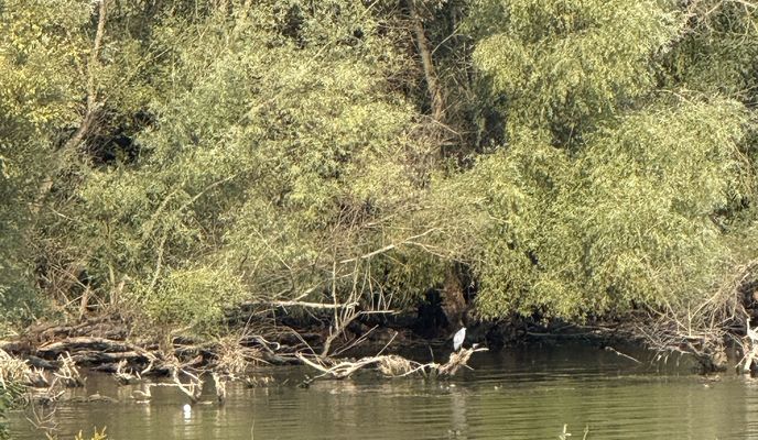 Zdjęcie 2 trasy Bikemap „Michalovce, Михаловце до Michalovce, Михаловце”