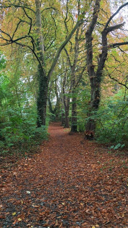 Tannenweg nach Griesenbruchstraße 2-4