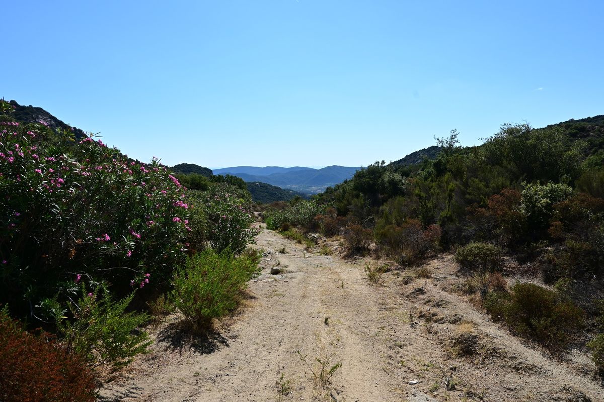 Sykia - St. Ilias - Koukos