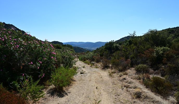 Foto 2 de la ruta de Bikemap "Sykia - St. Ilias - Koukos"