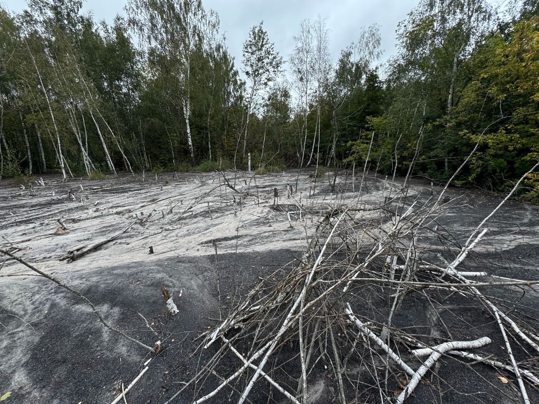 улица Мира, Новомосковск до Зелёная улица, Новомосковск