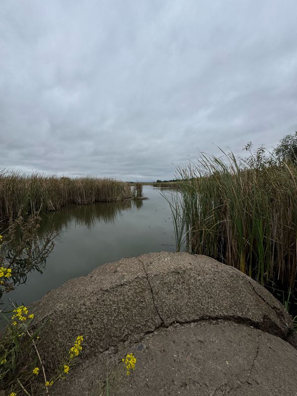 улица Мира, Новомосковск до Зелёная улица, Новомосковск