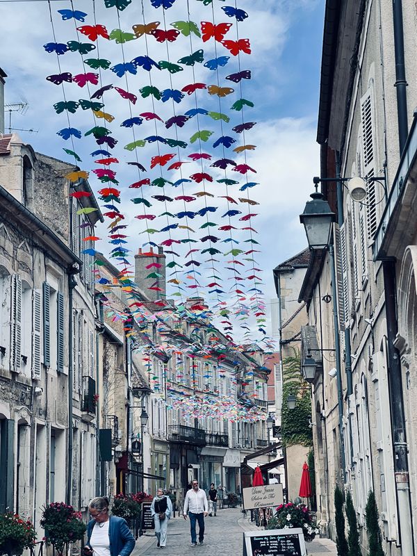 Joigny —— Avallon