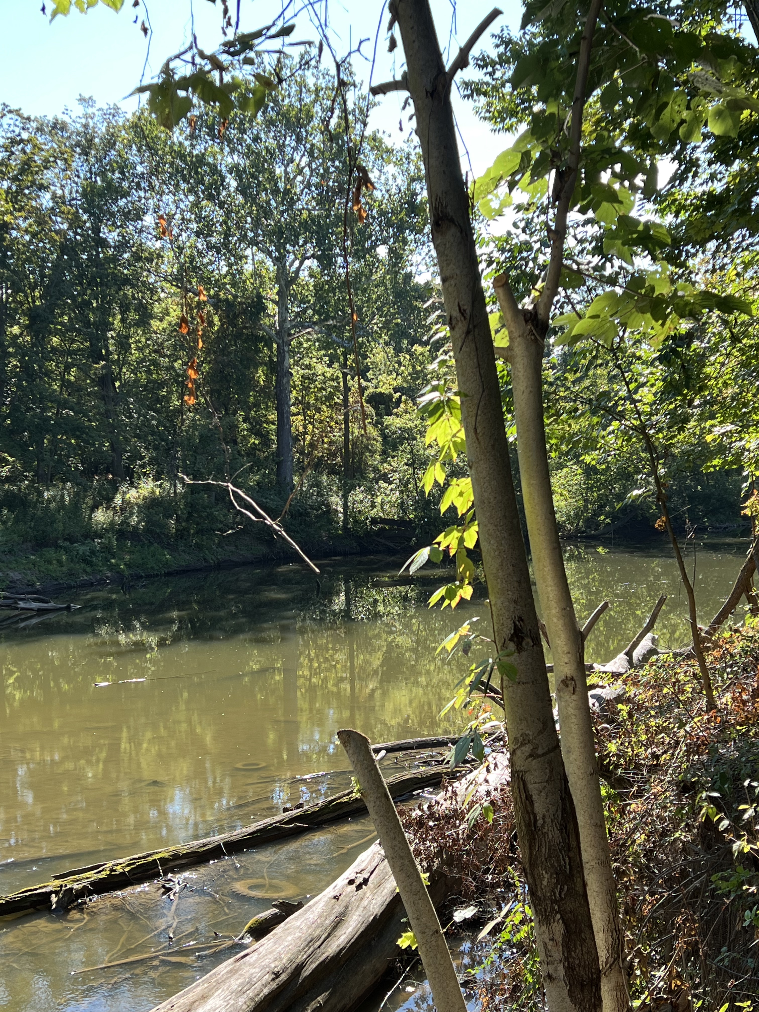 Black River Reservation Trail
