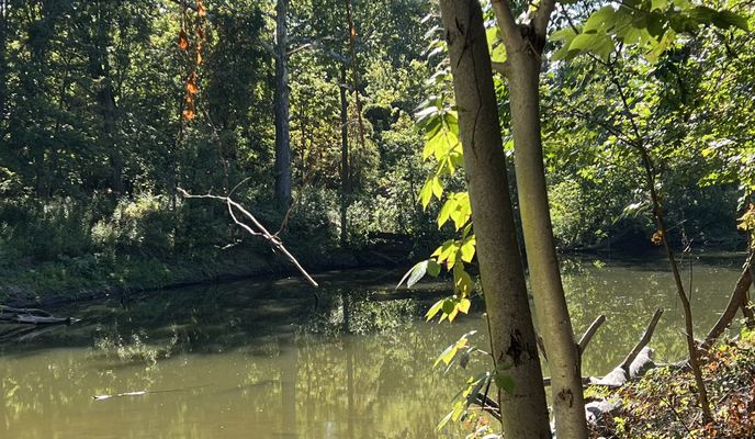 Foto 2 de la ruta de Bikemap "Black River Reservation Trail"