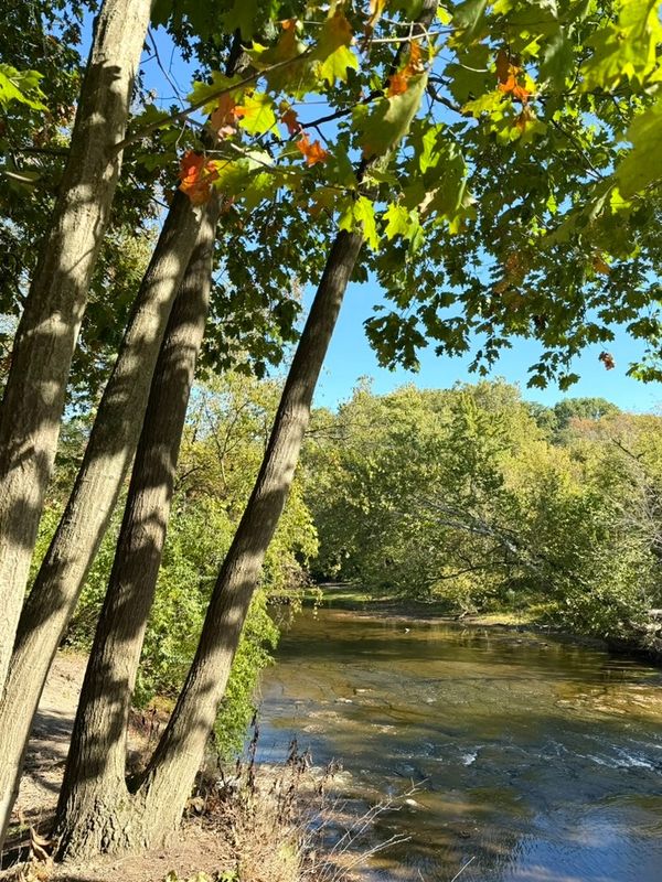 Black River Reservation Trail
