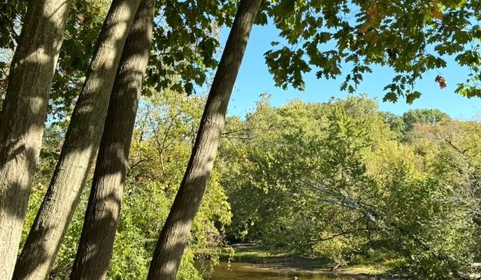 Photo 1 of the Bikemap route "Black River Reservation Trail"