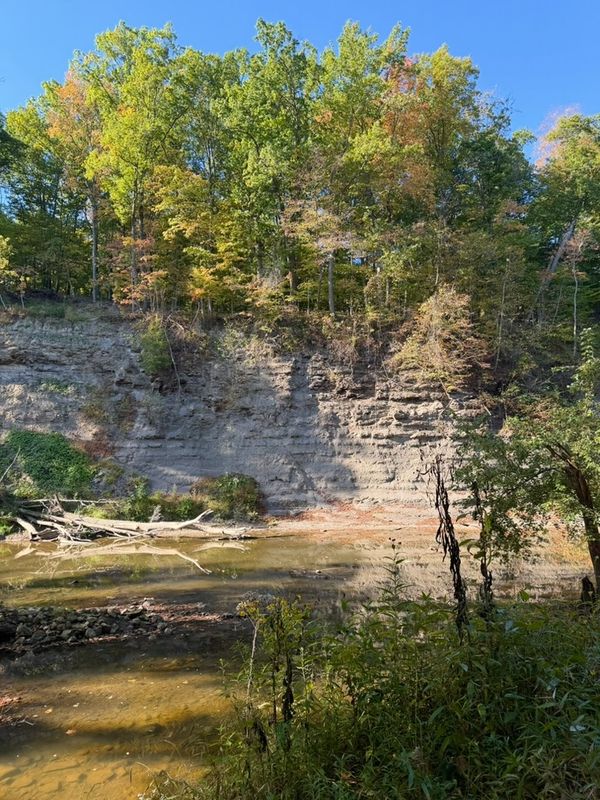 Black River Reservation Trail