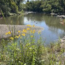 Foto 7 de la ruta de Bikemap "Black River Reservation Trail"