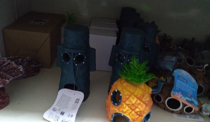 Foto 1 der Bikemap-Route "giro bici scassata" Foto 1 der Bikemap-Route "giro bici scassata"