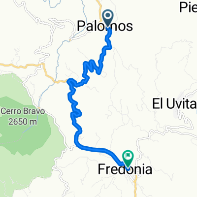 De Los Palomos a Calle 49-61