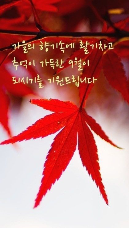 20250903운동라이딩