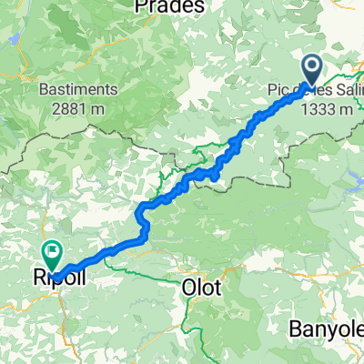 Reiners - Ripoll