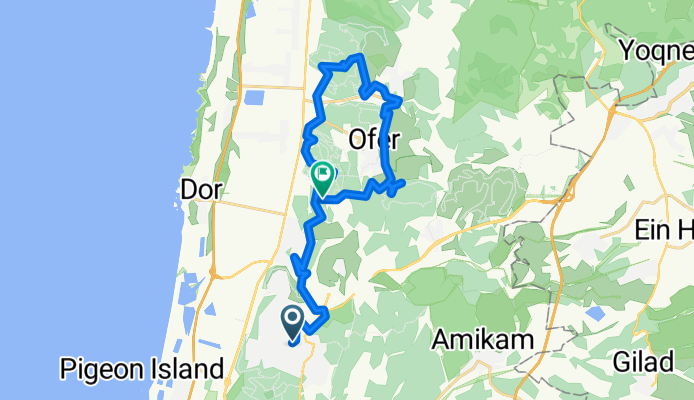 זכרון יער עופר