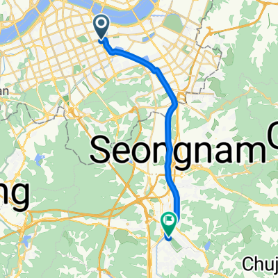 대치동, 서울특별시에서 수내동, 성남시까지