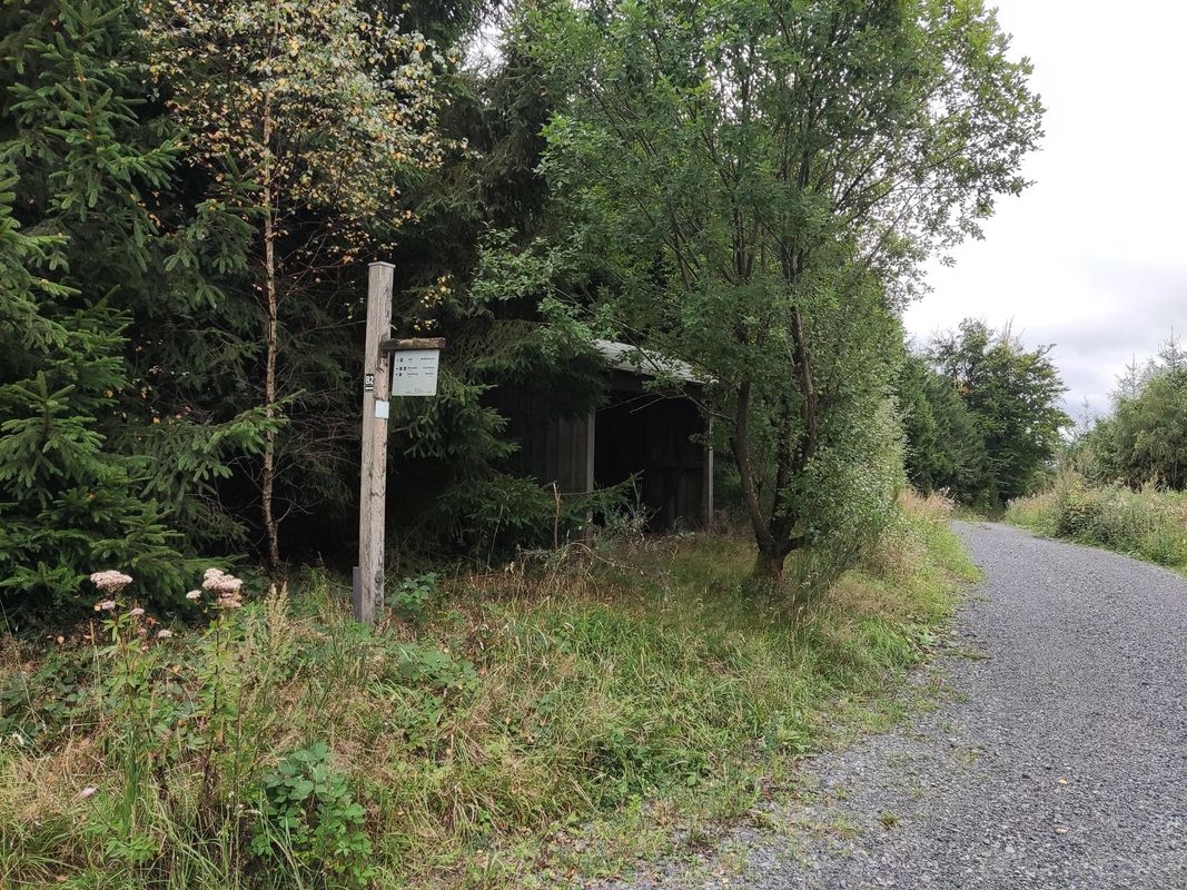MTB-Tour 🚴 Wennemen, Calle, Kelbketal, Oesterberge, Wenholthausen, Wennemen.